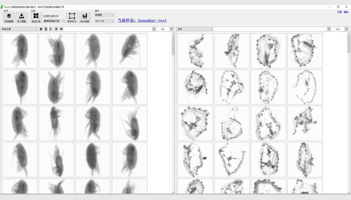 浮游动物自动分类计数仪，浮游动物图像扫描分析系统，浮游动物分析仪，浮游动物计数仪。用于浮游动物自动分类计数分析，浮游动物形态参数分析等。