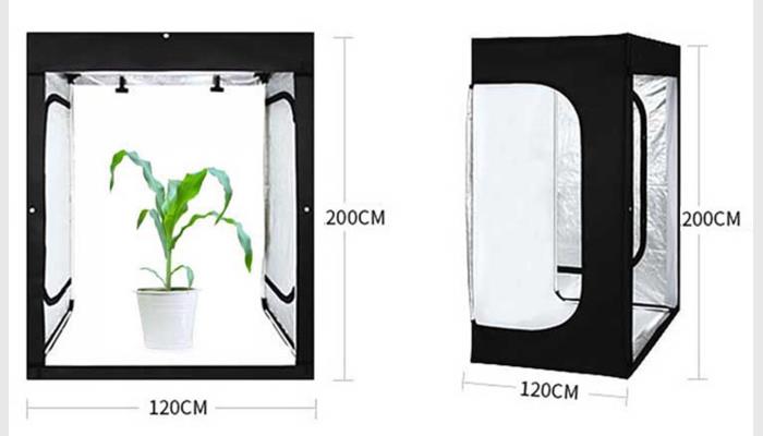 PhenoGA植物表型分析测量仪系统,又称植物表型平台, 植物表型分析系统,植物表型成像分析系统。
基因型、表型和环境是遗传学研究的铁三角。表型（性状）是基因型和环境共同作用结果，而基因型与表型之间有着多重关系。研究者用测序和基因组重测序来评估等位基因差异定位数量性状等已变得很普遍，但其需大量性状数据来佐证。然而这类分析测量的结果受人员、工具和环境等的干扰很大，还会损伤到植物。故迫切需要高效、准确的万深PhenoGA植物表型分析测量仪来做可视化的精确数据分析和表型测试，如测试对压力和环境因素的表型反应、生态毒理学测试或萌发测定、生长研究等。